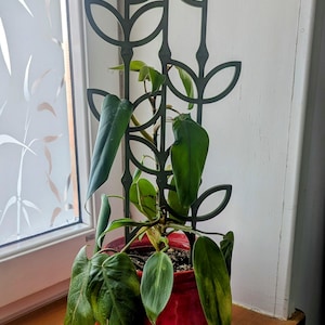 Modular trellis plant stand plant ladder 3D printing leaves climbing plant