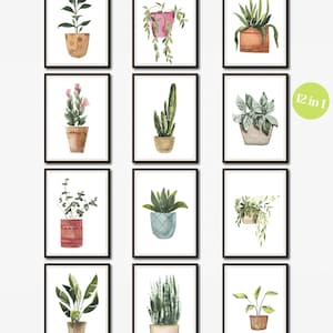 Pintura de acuarela imprimible de plantas en maceta, impresión de plantas de acuarela, impresión de plantas de interior, conjunto de impresiones botánicas, póster botánico, A4, A3