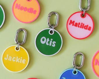 Chunky Carabiner Pet ID Tag with Back-Side Phone Number | Colorful Charms for Dogs