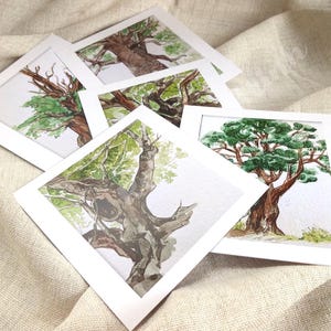 May include: Five framed watercolor paintings of trees with green foliage and brown trunks. The paintings are displayed on a beige linen fabric background.