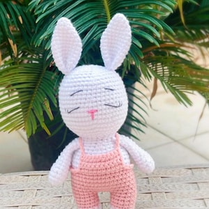 Crochet Rabbit, Amigurumi Bunny, Crochet Bunny, Handmade Toy, Sleeping Friend, Gift For Kids, Birthday Gift, Personalized Gift, Baby Gift