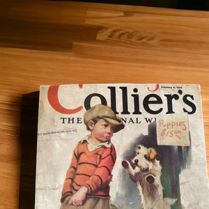 Collier's Couverture originale 9 février 1929 Un jeune garçon veut acheter un chiot Veuillez lire la description image 3