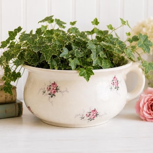 May include: A cream-colored ceramic chamber pot featuring a delicate pink rose floral pattern and a single side handle. The vessel is filled with a lush green ivy plant, showcasing a glossy finish and a wide, rounded shape with a flared rim.
