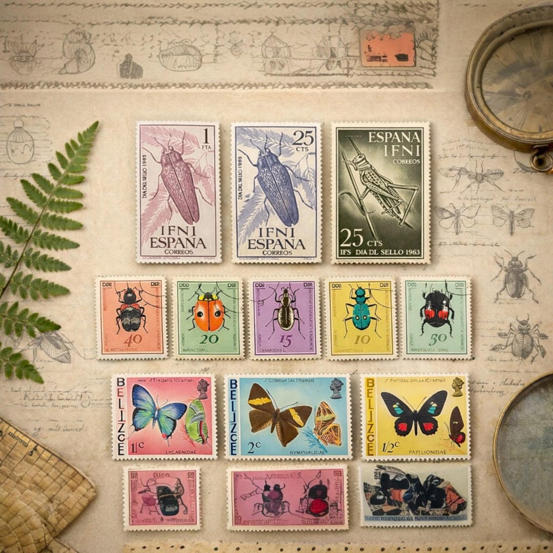 Vintage Insect & Butterfly Postage Stamps Lot – Spain Beetles, East ...