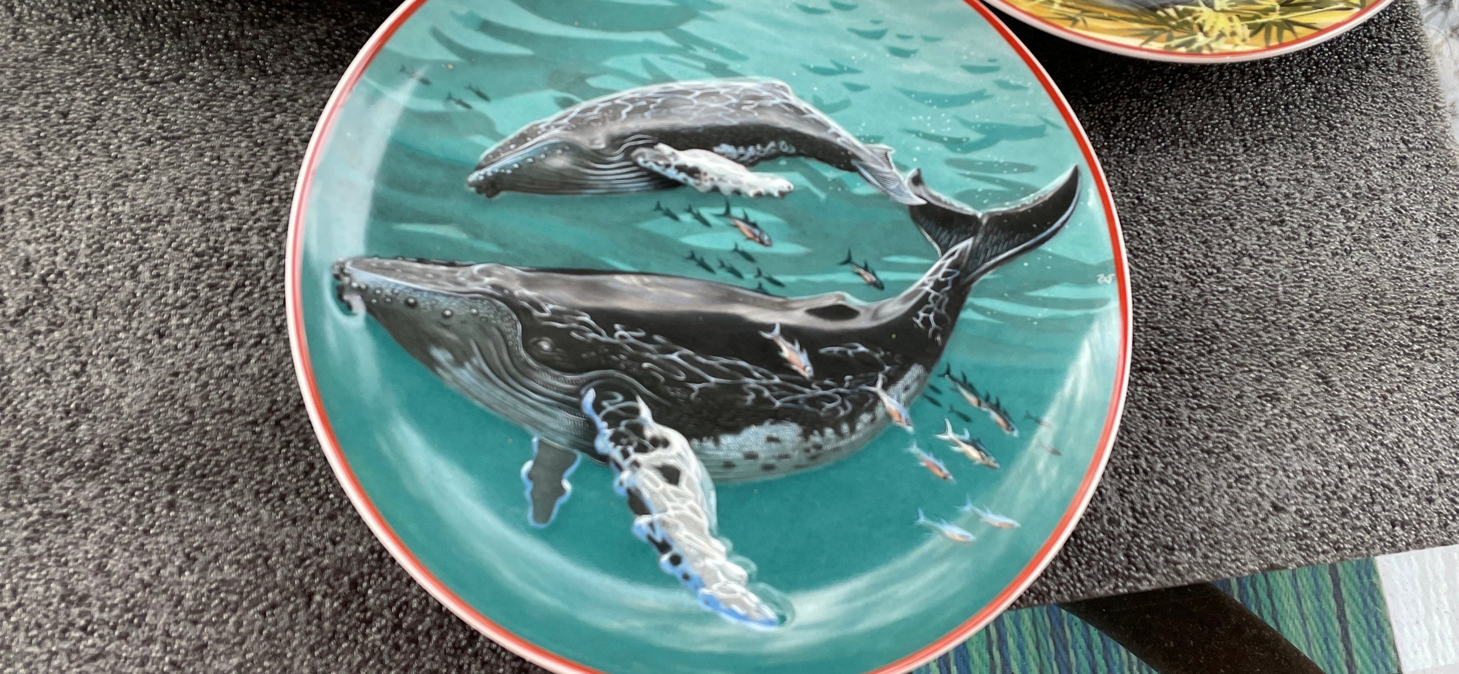 Porcelain Collectible Wall Plates 