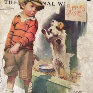 Collier's Couverture originale 9 février 1929 Un jeune garçon veut acheter un chiot Veuillez lire la description image 2