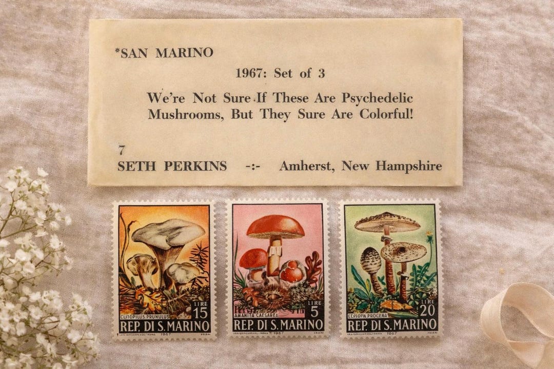Vintage San Marino Mushroom Stamp Set 1967 Colorful Fungi Stamps ...