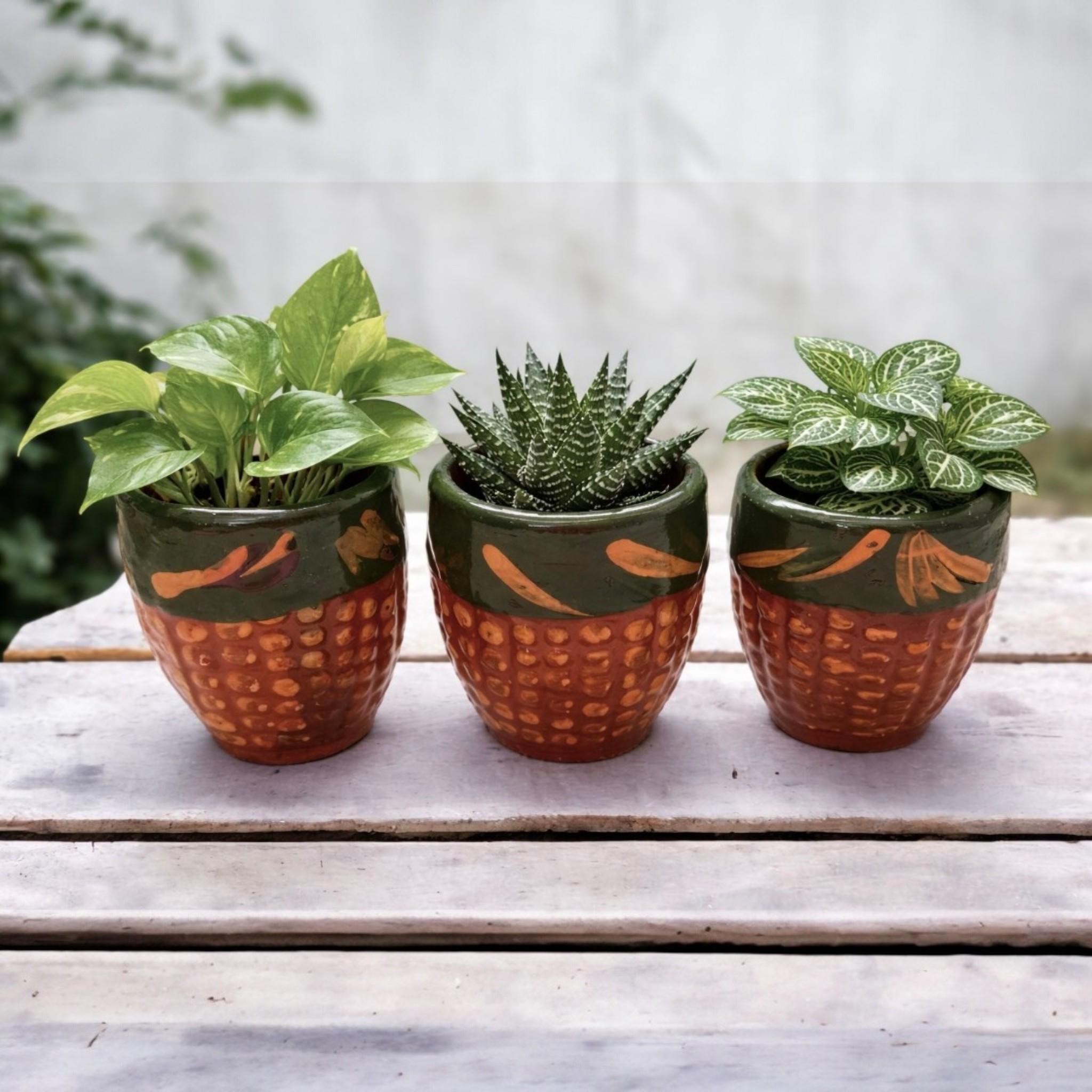 Set Of 3 Hand Painted Terracotta Planters Mini Folk Art Pots Small Set Of 3 Hand Painted Terracotta Planters Mini Folk Art Pots Small