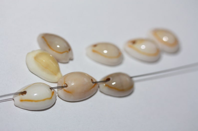 choose between two-hole drilled or not drilled Stunning vintage cowrie shell beads
