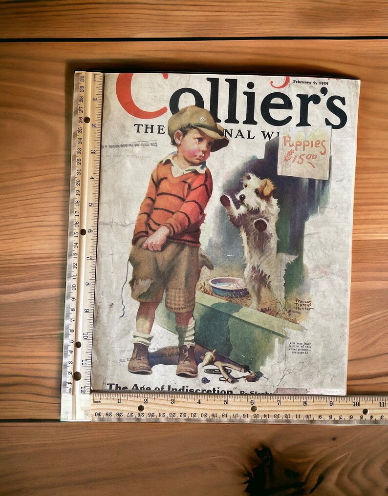 Collier's Couverture originale 9 février 1929 Un jeune garçon veut acheter un chiot Veuillez lire la description image 4