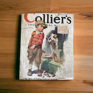 Collier's Couverture originale 9 février 1929 Un jeune garçon veut acheter un chiot Veuillez lire la description image 1