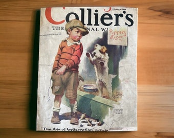 Collier's - Original Cover - February 9, 1929 - young boy wants to buy a puppy dog - Please read description