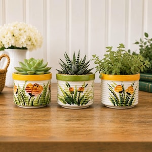 May include: Three cylindrical ceramic planters with ribbed textures and hand-painted floral designs. Each pot features a colored rim and contains a different green plant, including a succulent and a spiky Haworthia, arranged on a wooden surface.