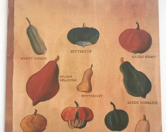 NEW YORKER Magazine cover - September 30, 1985 - vegetables