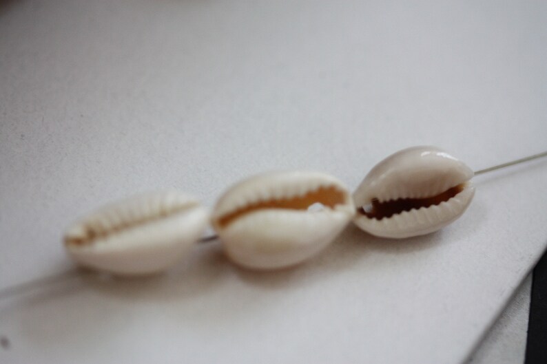 choose between two-hole drilled or not drilled Stunning vintage cowrie shell beads