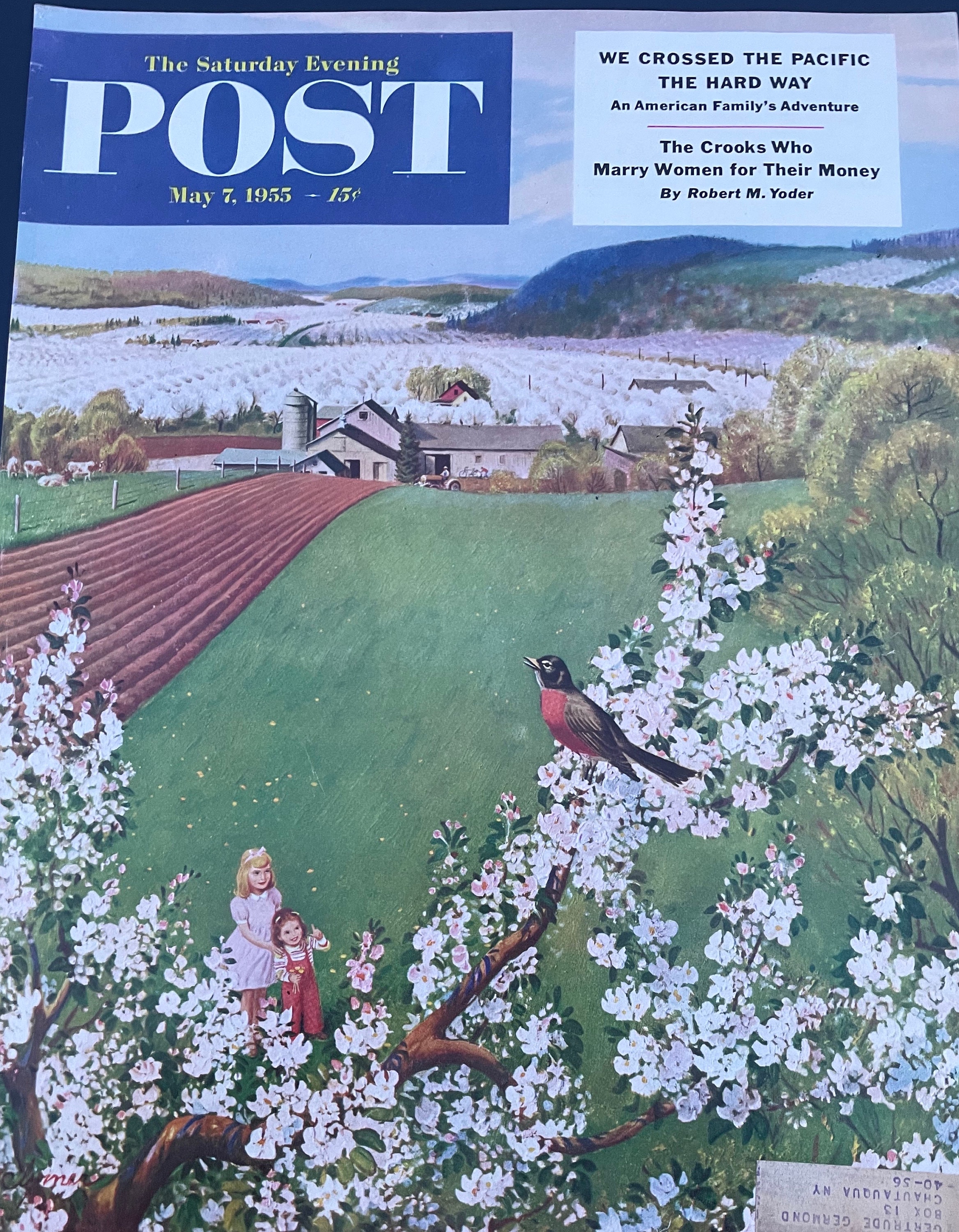 Saturday Evening Post - Original Cover - May 7, 1955 - Beautiful