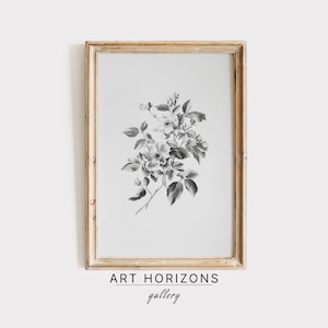 Vintage Flower Sketch Printable Wall Art, Antique Farmhouse Decor, Digital Botanical Art, Rustic Home Decor, Vintage Farmhouse Decor | A228