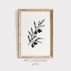 Olive Branch Sketch Line Drawing Botanical Black and White Minimal Nature Print Rustic Kitchen Wall Art Mediterranean Printable | A823