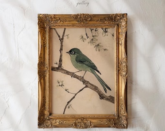 Vintage Green Bird Print | Antique Botanical Wild Nature Wall Art Printable (Digital Download) | A758
