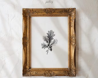 Botanical Print Oak Leaves Acorns Printable Wall Art Vintage Nature Illustration Neutral Home Decor Living Room Digital Download | A821