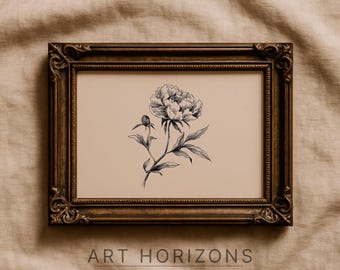 Peony Sketch Flower Line Drawing Elegant Botanical Minimalist Vintage Printable Wall Art Floral Home Decor French Digital Download | A813