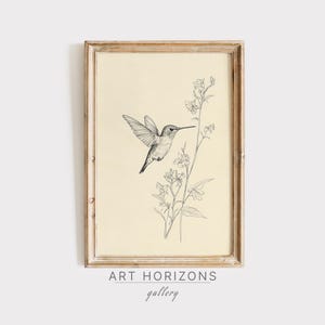 Vintage Hummingbird Sketch Bird PRINTABLE Wall Art Digital Illustration Wildflowers Home Decor Animal Drawing Neutral Minimalist | A469