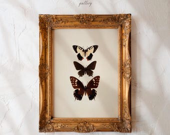 Vintage fjärilstryck, Cottagecore, neutral antik mal, utskrivbar väggkonst, digital nedladdning, heminredning, djurskiss, konstverk | A414