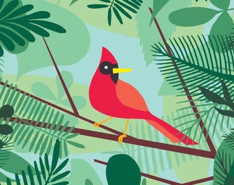 Red Cardinal Bird