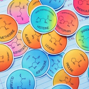 Aminosäure Aufkleber für Notizen (20 Stück) | Chemische Struktur, Eigenschaften, Name | MCAT, AP Bio