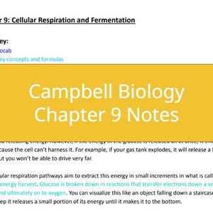 以下が含まれることがあります： 白文字で「Campbell Biology Chapter 9 Notes」と書かれた黄色とオレンジの四角形です。