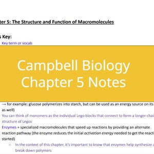 May include: A yellow title card with the text "Campbell Biology Chapter 5 Notes" in white text. The text "Notes Key" is in black text with a blue dot next to it. The text "Key term or vocab" is in blue text.