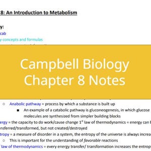May include: A yellow and white page with the title "Campbell Biology Chapter 8 Notes" and text about anabolic pathways, energy, and entropy. The text includes the definition of an anabolic pathway, an example of a catabolic pathway, and the first and second laws of thermodynamics.