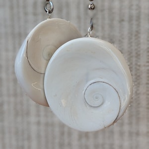 May include: Two white, round shell pendants with a spiral design hang from a silver ball chain. The shells have a glossy finish and are suspended against a neutral, textured background. The pendants are connected with a small silver clasp.