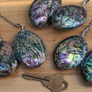 May include: Four oval-shaped abalone shell pendants with iridescent green, purple, and blue patterns, each attached to a silver-toned ball chain. Two loose abalone shell pieces and a single brass-colored metal key are positioned nearby.