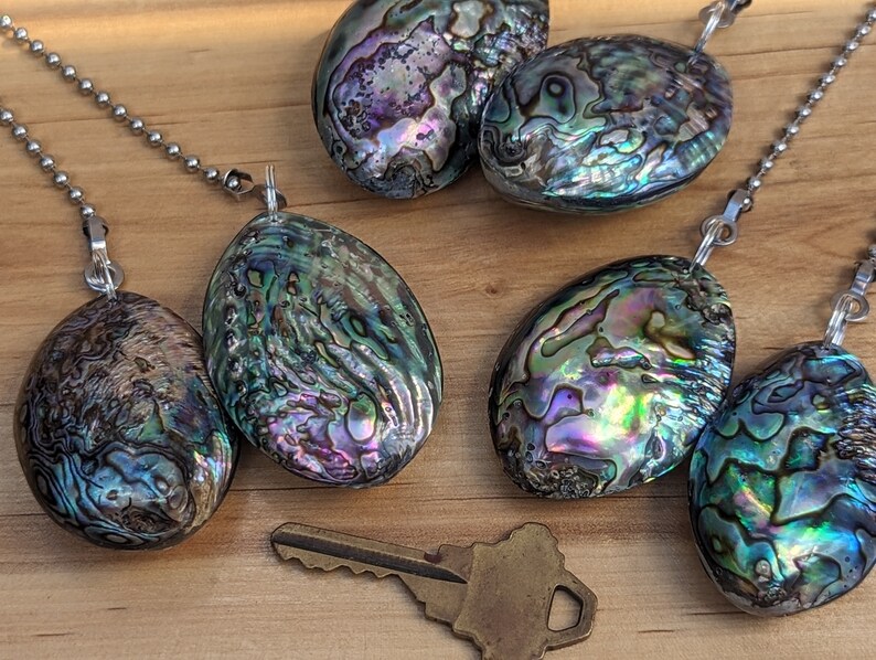 May include: Four oval-shaped abalone shell pendants with iridescent green, purple, and blue patterns, each attached to a silver-toned ball chain. Two loose abalone shell pieces and a single brass-colored metal key are positioned nearby.