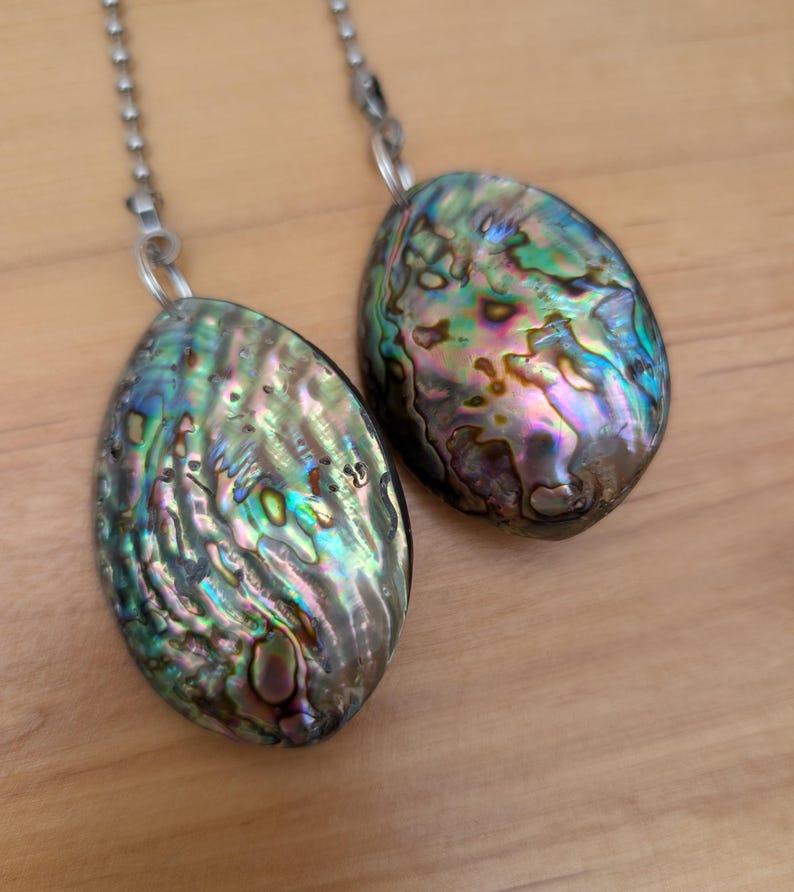 Two iridescent abalone shell cord pull hanging from silver ball chain. The shells are oval shaped and have a green, blue, and purple color.