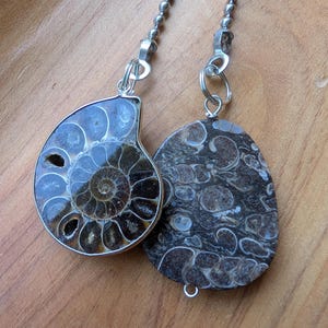 May include: Two pendants on silver-toned ball chains. One is a polished, spiral-shaped ammonite fossil with dark brown and tan chambers. The other is a flat, oval-shaped stone featuring a dark brown matrix filled with numerous small, light-colored fossilized shell fragments.