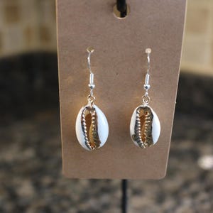 Sea Shell Earrings