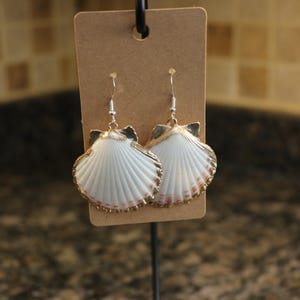 Sea Shell Earrings