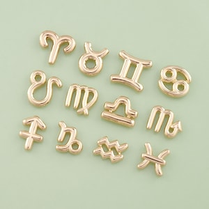 1pcs 18K Gold Filled Zodiac Pendant Jewelry for DIY Jewelry Necklace Bracelet NY-1271