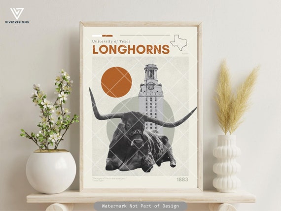 University of Texas, Texas Longhorns, Austin, Texas, Hook 'em