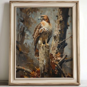 Hawk Print, Bird Print, Wildlife Print, Bird Art, Wildlife Art, Vintage Style Bird, Wildlife Décor, Nature Print