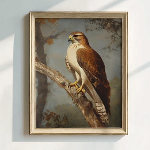Hawk Print, Bird Print, Wildlife Print, Bird Art, Wildlife Art, Vintage Style Bird, Wildlife Décor, Nature Print