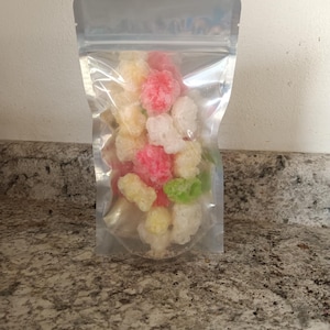 Freeze dried gummy bears