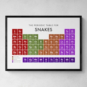 May include: A framed print displaying "THE PERIODIC TABLE FOR SNAKES." The design is styled after a periodic table, with each element representing a snake species. The colour-coded chart categorises snakes by type, in a black frame.