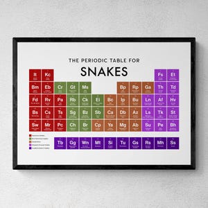May include: A framed wall poster titled The Periodic Table for Snakes, featuring a grid of coloured squares representing different snake species. Each square contains a two-letter code and the common name of a snake, with a legend below.