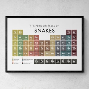 Könnte beinhalten: Ein rechteckiges Wandposter mit dem Titel The Periodic Table of Snakes, das ein Raster aus farbigen Quadraten mit zweibuchstabigen Abkürzungen und Schlangennamen zeigt. Das Design enthält unten eine Legende zur Kategorisierung der Schlangen.