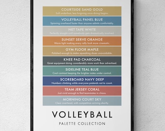 Volleyball Colour Palette Print, Funny Sports Wall Art, Ball Games Poster, Volleyball Player Gift | Printable Digital Download