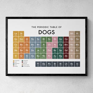 Puede incluir: Un póster de pared enmarcado titulado The Periodic Table of Dogs, que presenta una cuadrícula de cuadrados de colores que representan varias razas de perros con abreviaturas y nombres. El diseño imita una tabla científica, organizada por categorías.