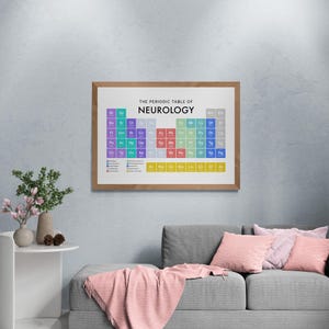 May include: A framed print of "The Periodic Table of Neurology" hangs on a wall. The print features a colourful chart with elements and abbreviations. The frame is a light brown colour. The print is above a grey couch with pink cushions and a pink blanket.